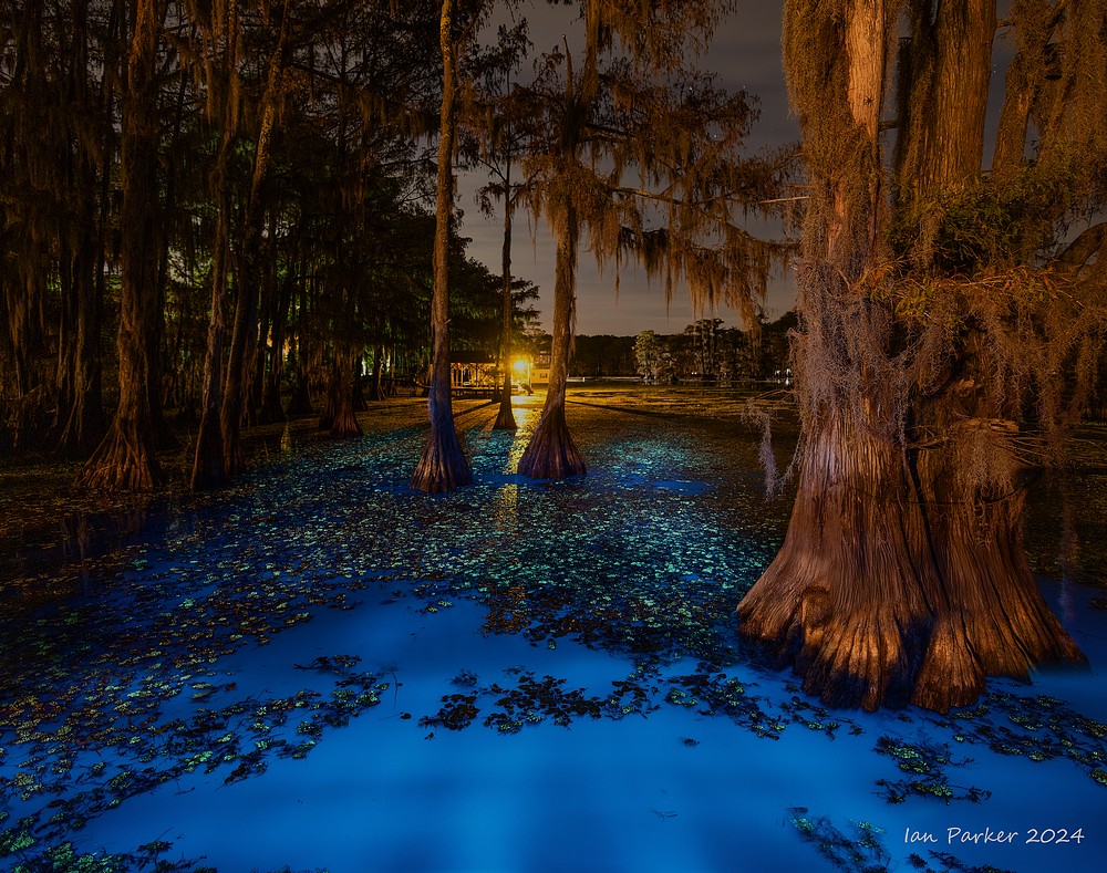 India Trade Alert: Singapore Port Jams, US-China Tariff Shifts, and New DGFT Rules